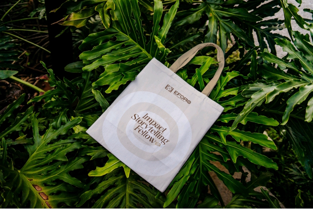 Eforo Tote Bag: Cream White Eforo Tote Bags : Cream White